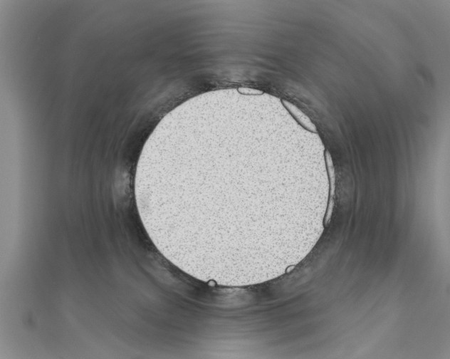 X0000111040087200908061505