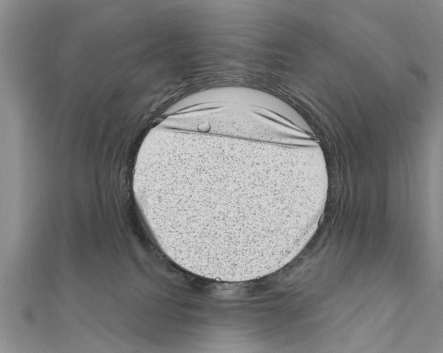 X0000111040088200908061505