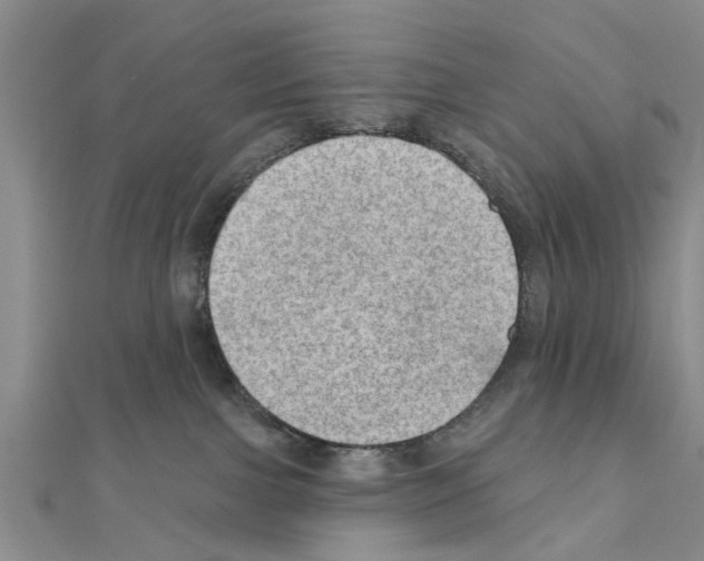 X0000111040091200908061505