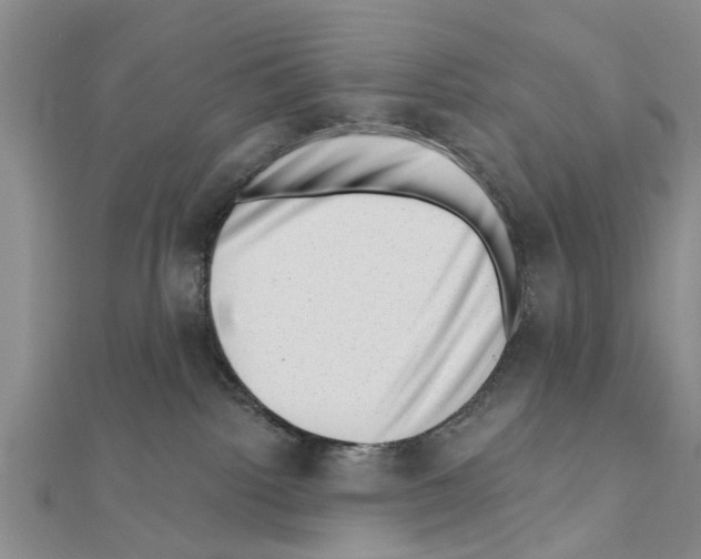 X0000111040092200908061505