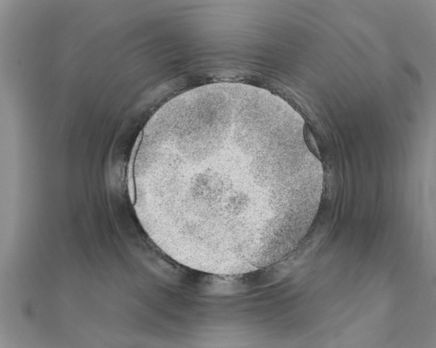 X0000111040093200908061505