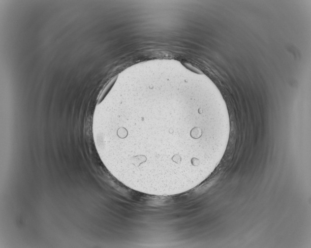 X0000111040096200908061506