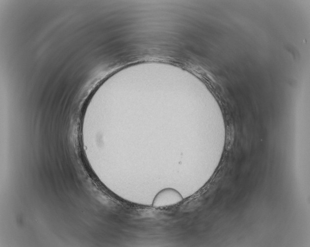 X0000111040098200908061505