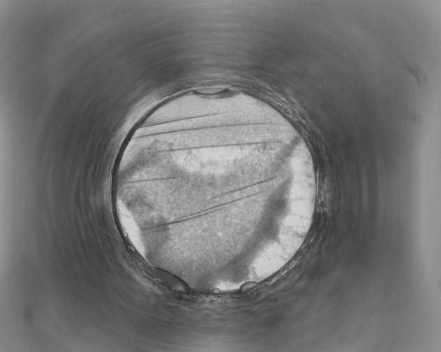 X0000111040099200908061505