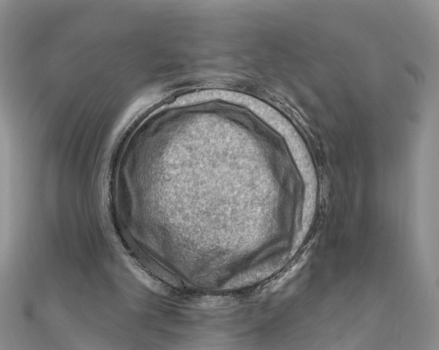 X0000111040101200908061505