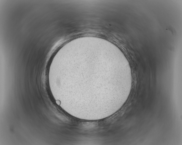 X0000111040102200908061505