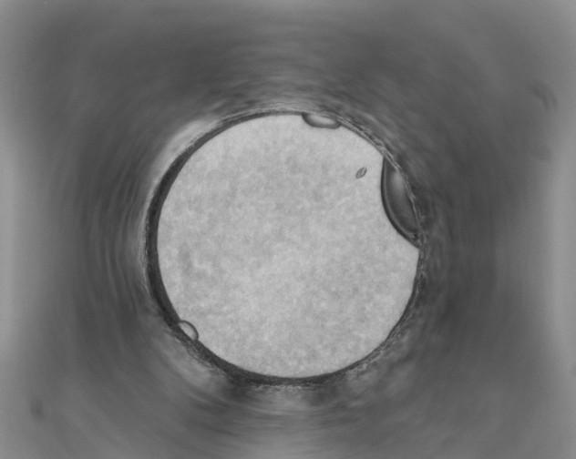 X0000111040104200908061505