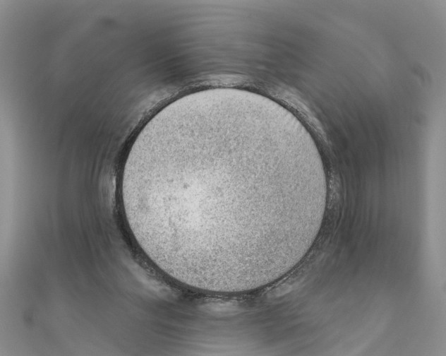 X0000111040110200908061505