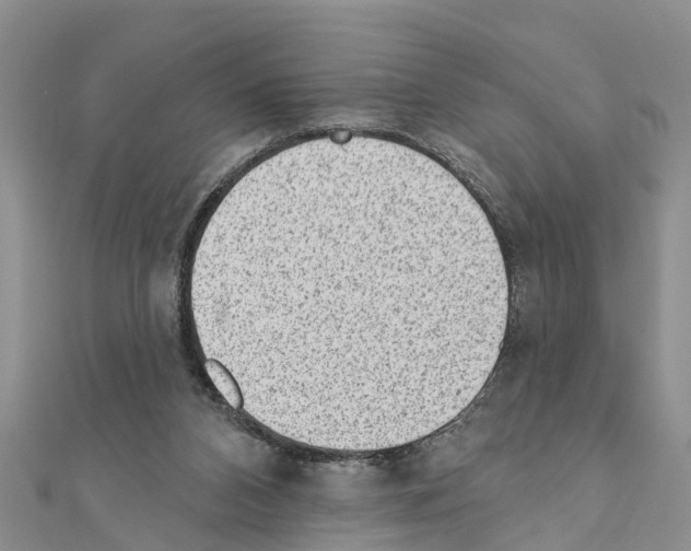 X0000111040112200908061505