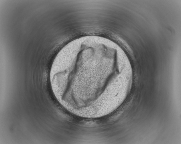 X0000111040113200908061505