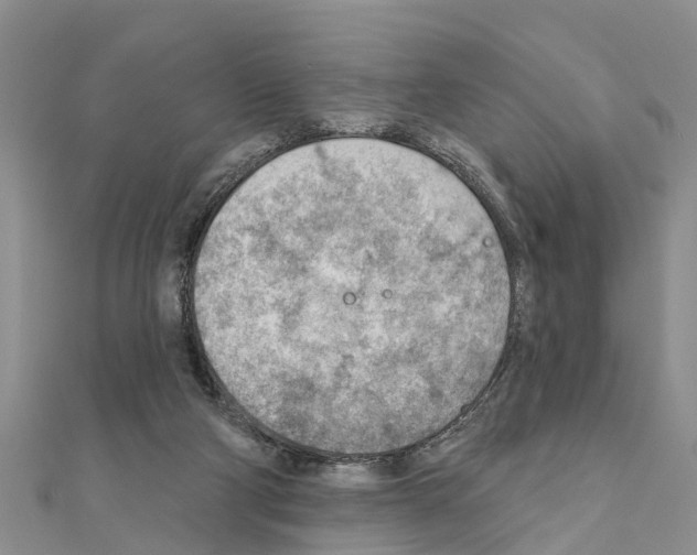 X0000111040114200908061505