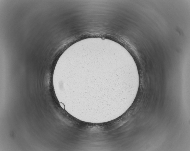 X0000111040115200908061505