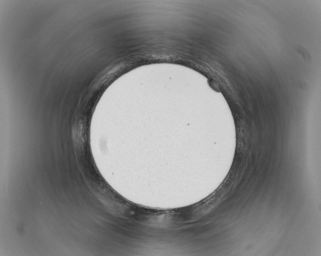 X0000111040116200908061505