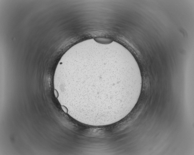 X0000111040117200908061505