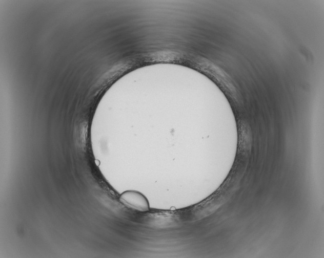 X0000111040118200908061505