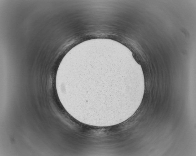 X0000111040120200908061505