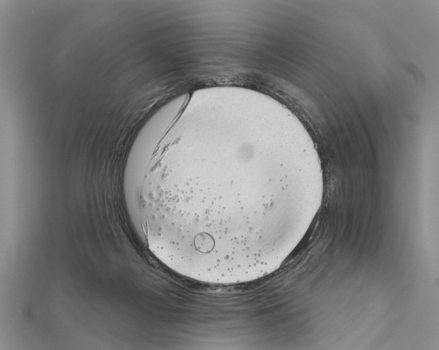 X0000111040121200908061505