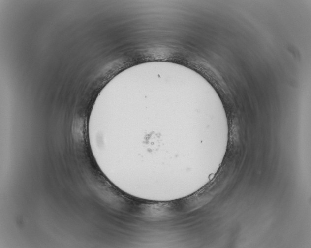 X0000111040122200908061505