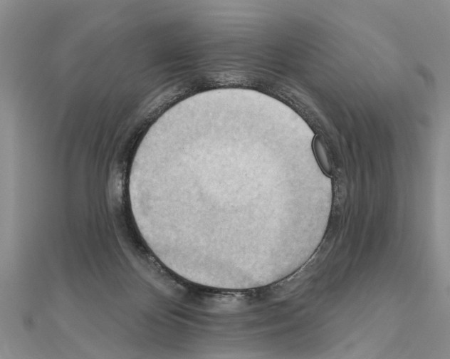 X0000111040124200908061505