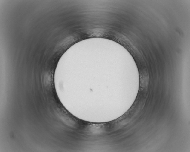 X0000111040126200908061505