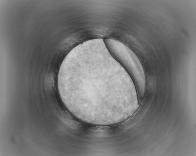 X0000111040128200908061504