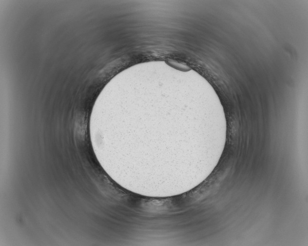 X0000111040129200908061504