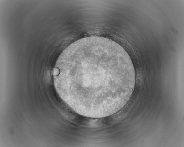 X0000111040130200908061504