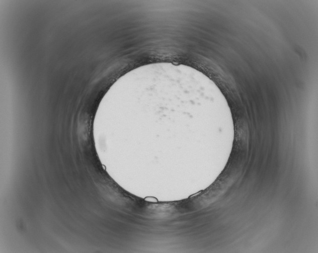 X0000111040133200908061504