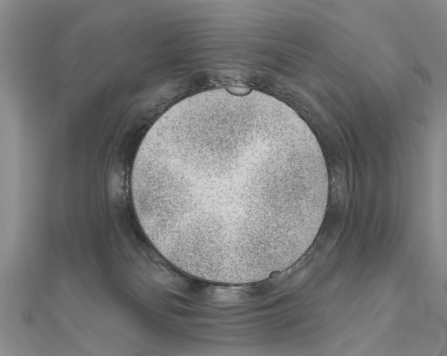 X0000111040134200908061504