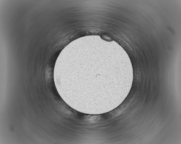 X0000111040135200908061504