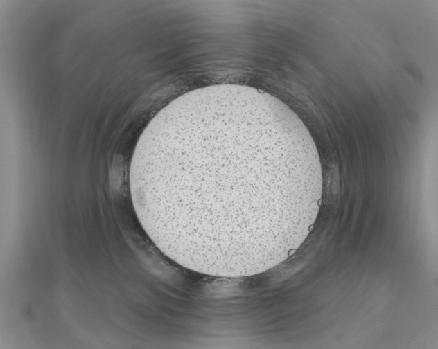 X0000111040138200908061504