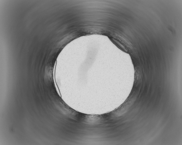 X0000111040141200908061504