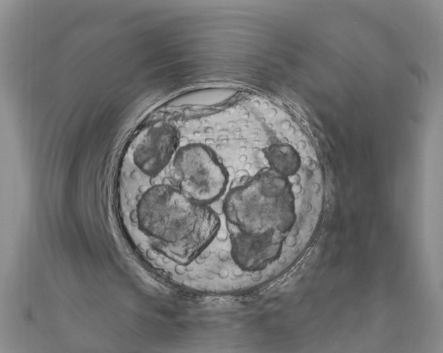 X0000111040145200908061504