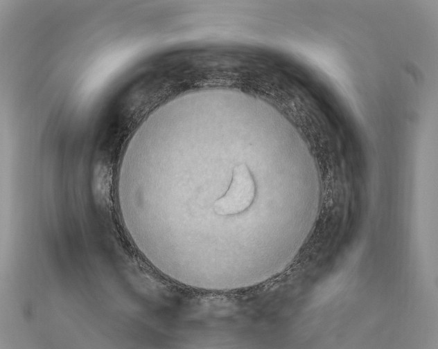 X0000111040146200908061504