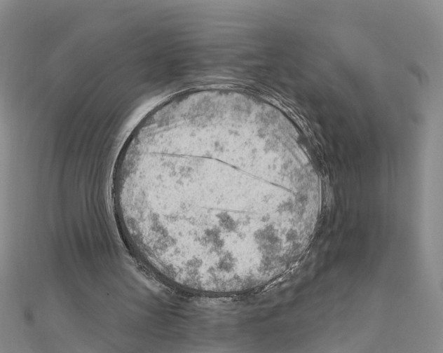 X0000111040147200908061504