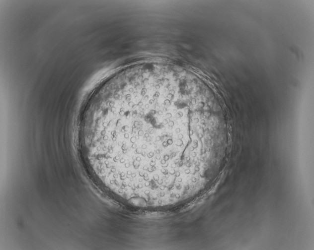 X0000111040149200908061504