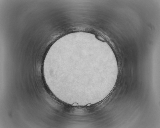 X0000111040154200908061504