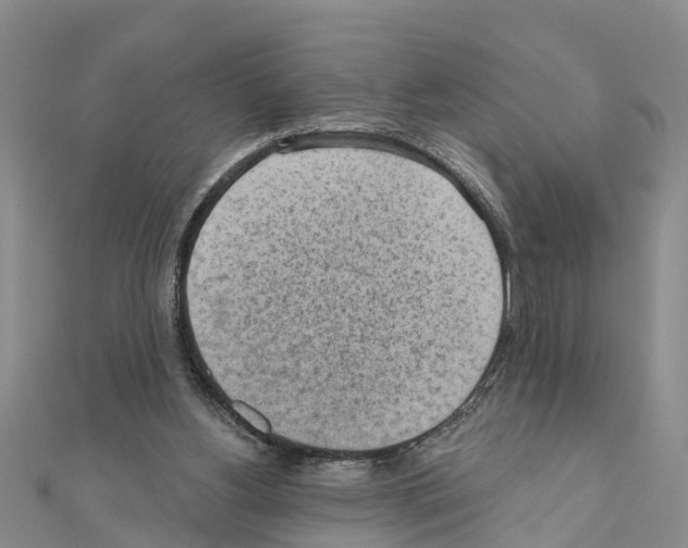 X0000111040156200908061504