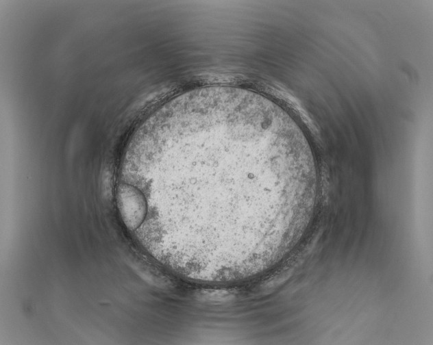 X0000111040161200908061504