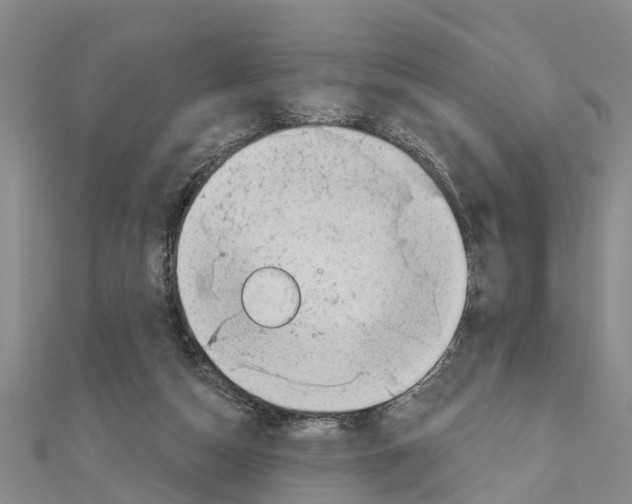 X0000111040162200908061504