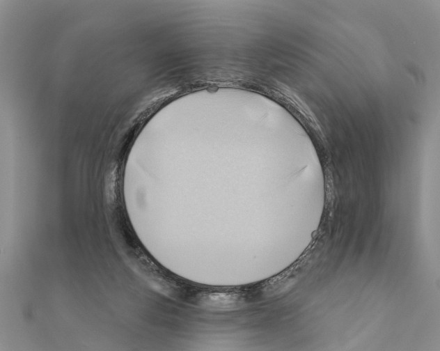 X0000111040163200908061504