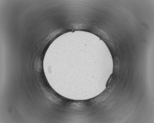 X0000111040164200908061504