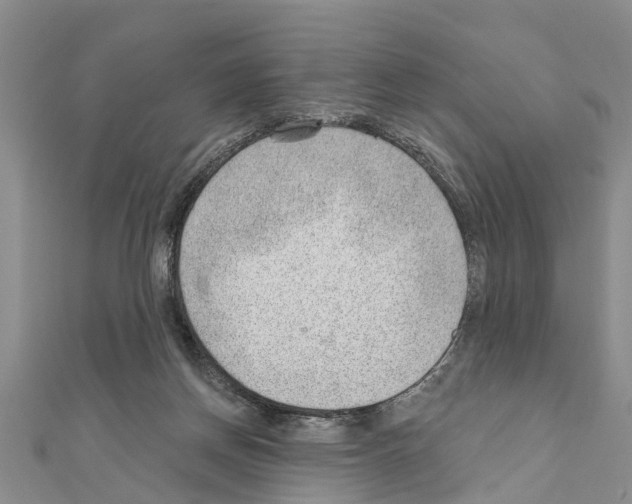 X0000111040166200908061504