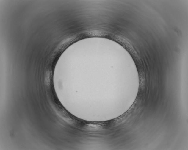 X0000111040167200908061504