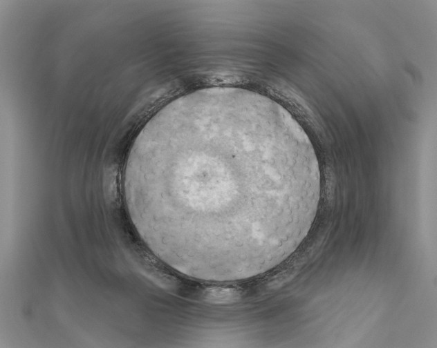 X0000111040169200908061504