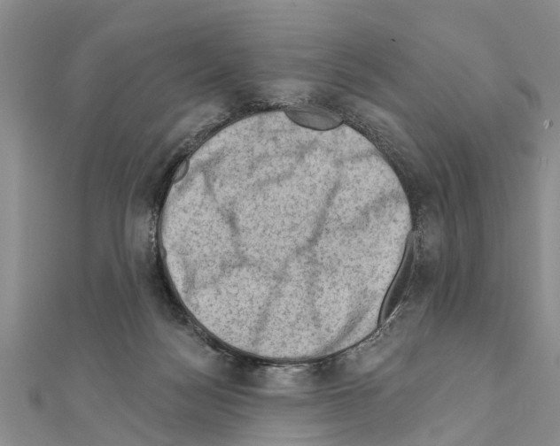 X0000111040172200908061504