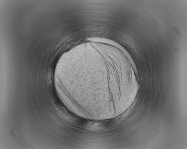 X0000111040174200908061504