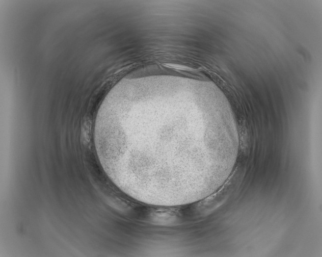 X0000111040175200908061504