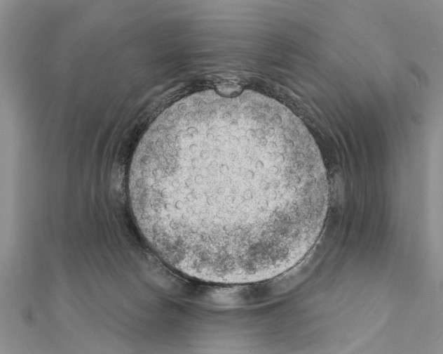 X0000111040178200908061504