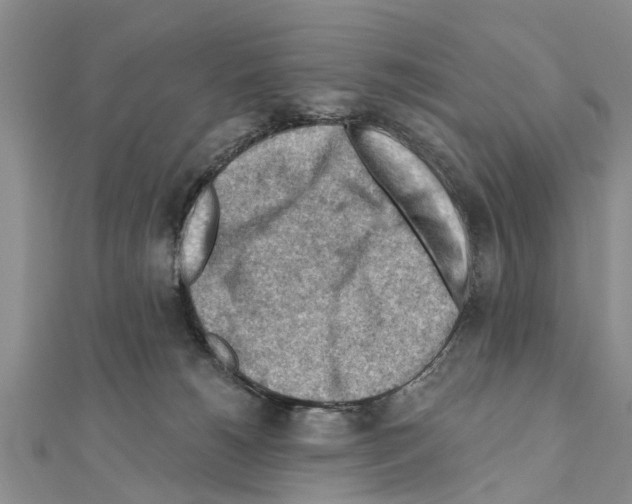 X0000111040180200908061504